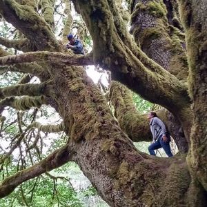 Meet your Posher, Joshua